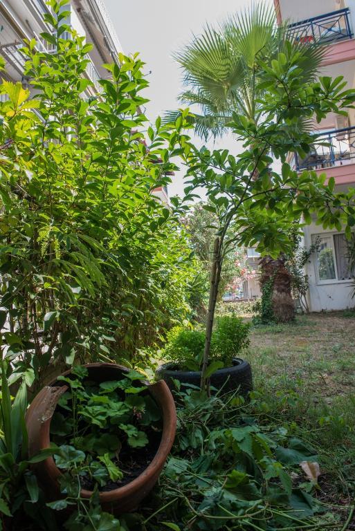 Hotel Alexandros Neoi Poroi Bagian luar foto