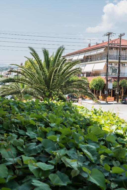 Hotel Alexandros Neoi Poroi Ruang foto